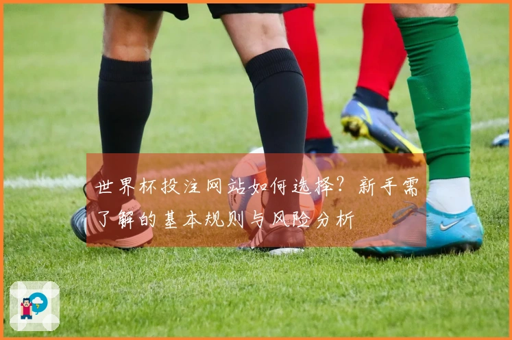 世界杯投注网站如何选择？新手需了解的基本规则与风险分析
