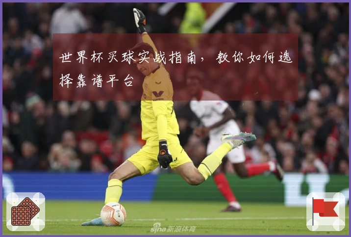 世界杯买球实战指南，教你如何选择靠谱平台