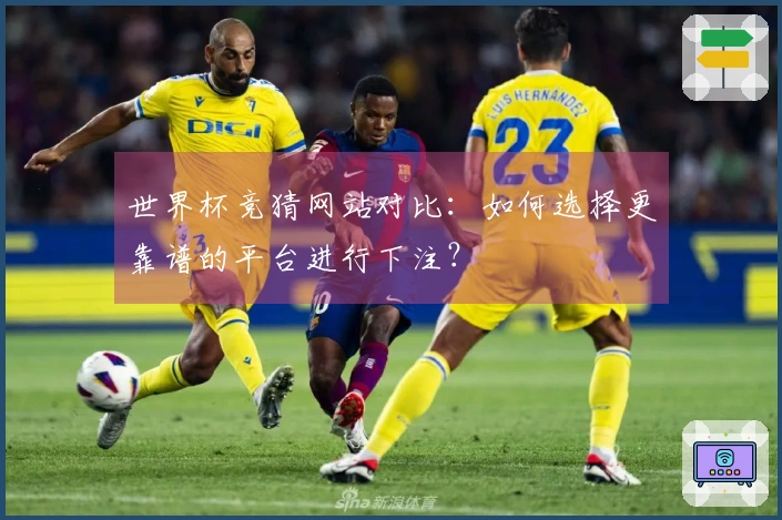 世界杯竞猜网站对比：如何选择更靠谱的平台进行下注？