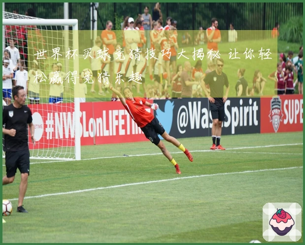 世界杯买球竞猜技巧大揭秘 让你轻松赢得竞猜乐趣