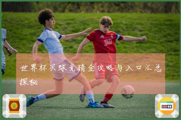 世界杯买球竞猜全攻略与入口汇总探秘