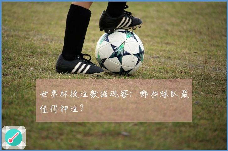 世界杯投注数据观察:哪些球队最值得押注?