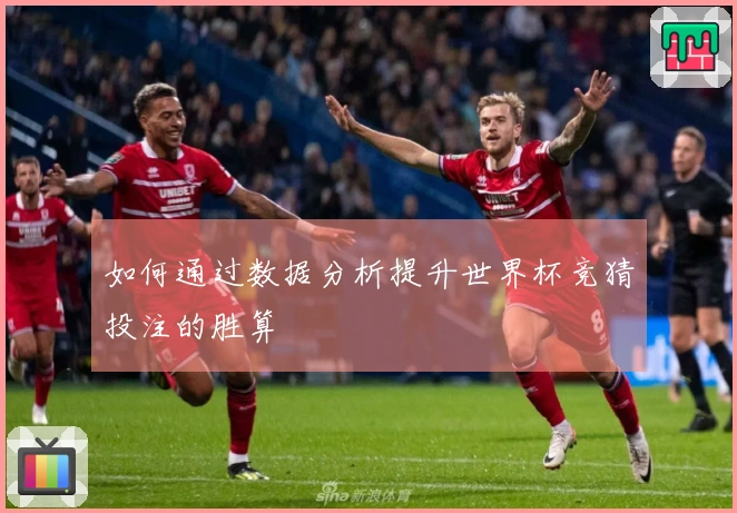 如何通过数据分析提升世界杯竞猜投注的胜算