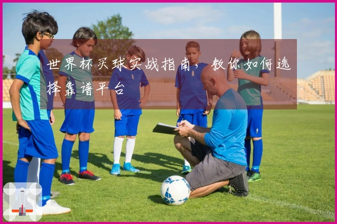 世界杯买球实战指南，教你如何选择靠谱平台