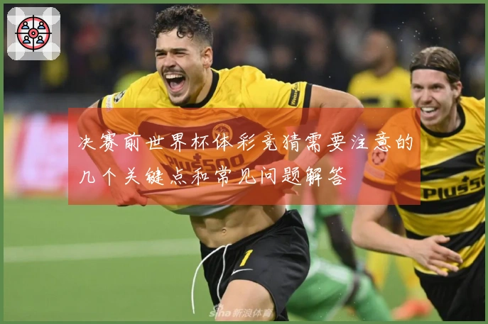 决赛前世界杯体彩竞猜需要注意的几个关键点和常见问题解答