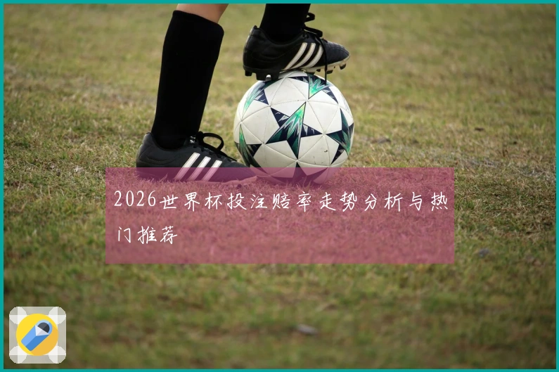 2026世界杯投注赔率走势分析与热门推荐