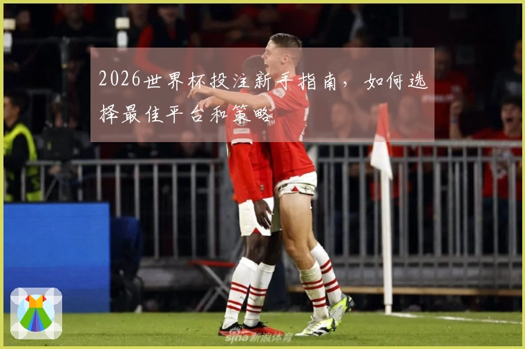 2026世界杯投注新手指南,如何选择最佳平台和策略