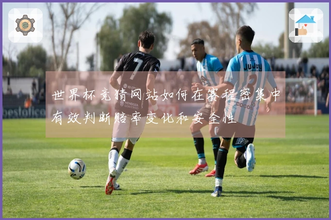 世界杯竞猜网站如何在赛程密集中有效判断赔率变化和安全性
