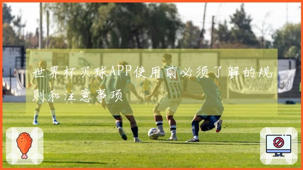 世界杯买球APP使用前必须了解的规则和注意事项