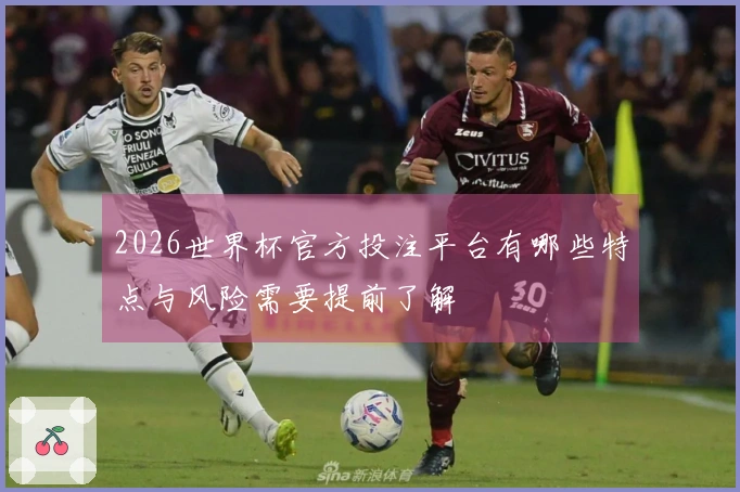 2026世界杯官方投注平台有哪些特点与风险需要提前了解