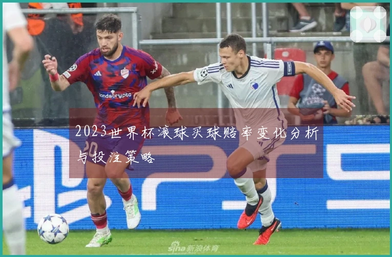 2023世界杯滚球买球赔率变化分析与投注策略