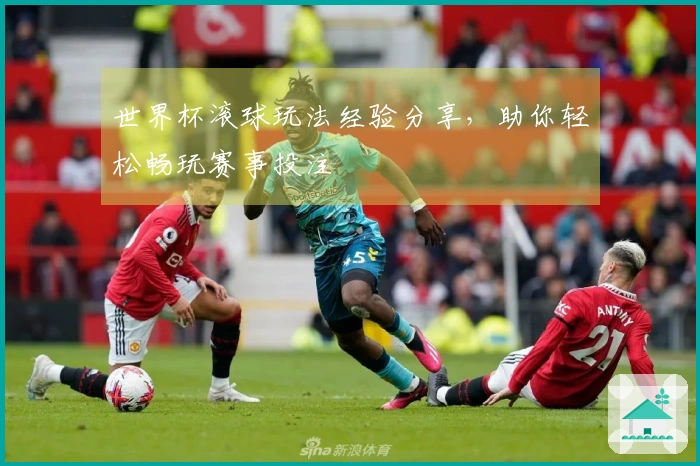 世界杯滚球玩法经验分享，助你轻松畅玩赛事投注