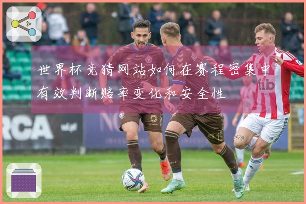 世界杯竞猜网站如何在赛程密集中有效判断赔率变化和安全性