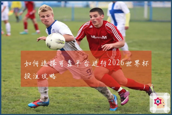 如何选择可靠平台进行2026世界杯投注攻略