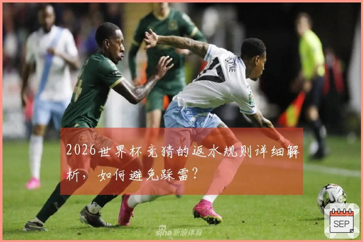 2026世界杯竞猜的返水规则详细解析，如何避免踩雷？