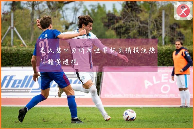 各大盘口分析及世界杯竞猜投注热门趋势透视