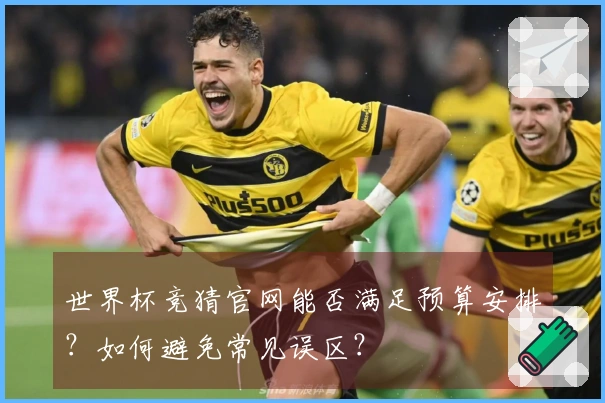 世界杯竞猜官网能否满足预算安排？如何避免常见误区？
