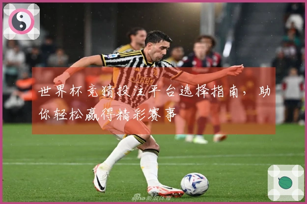 世界杯竞猜投注平台选择指南，助你轻松赢得精彩赛事