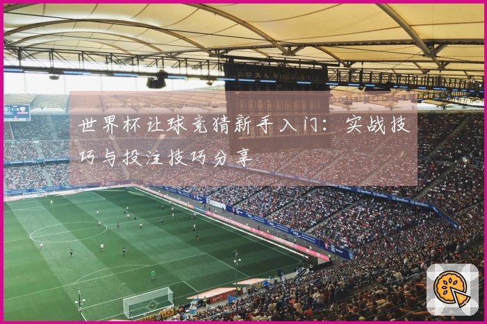 世界杯让球竞猜新手入门：实战技巧与投注技巧分享