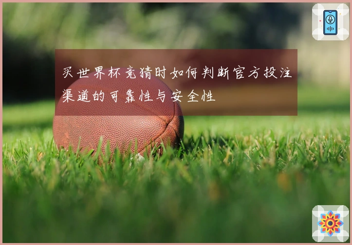 买世界杯竞猜时如何判断官方投注渠道的可靠性与安全性