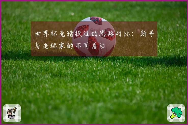 世界杯竞猜投注的思路对比：新手与老玩家的不同看法