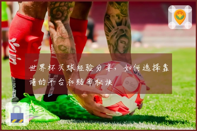 世界杯买球经验分享，如何选择靠谱的平台和赔率秘诀