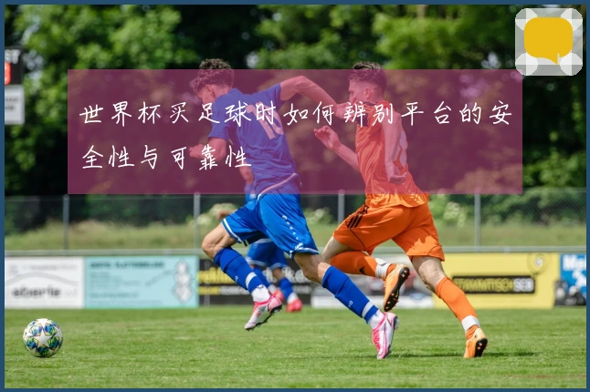 世界杯买足球时如何辨别平台的安全性与可靠性