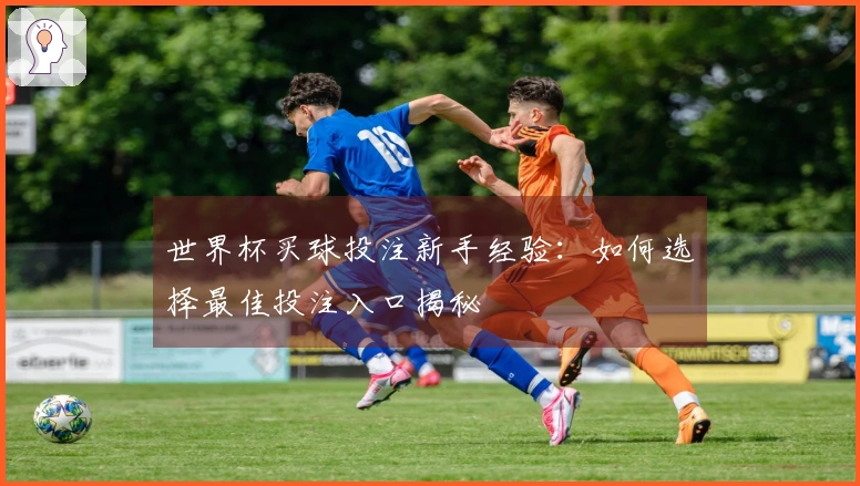 世界杯买球投注新手经验：如何选择最佳投注入口揭秘
