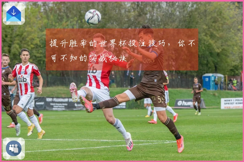 提升胜率的世界杯投注技巧，你不可不知的实战秘诀