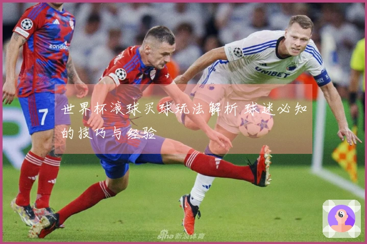 世界杯滚球买球玩法解析 球迷必知的技巧与经验