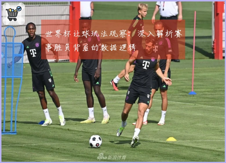 世界杯让球玩法观察：深入解析赛事胜负背后的数据逻辑