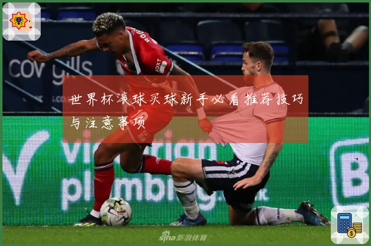 世界杯滚球买球新手必看推荐技巧与注意事项
