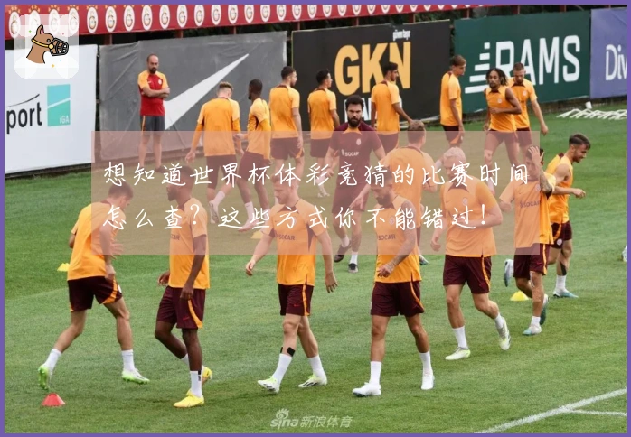 想知道世界杯体彩竞猜的比赛时间怎么查？这些方式你不能错过！