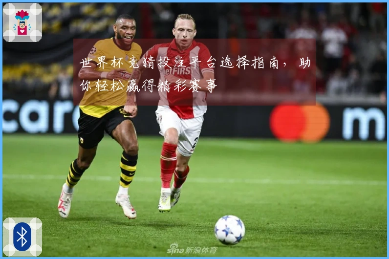 世界杯竞猜投注平台选择指南，助你轻松赢得精彩赛事