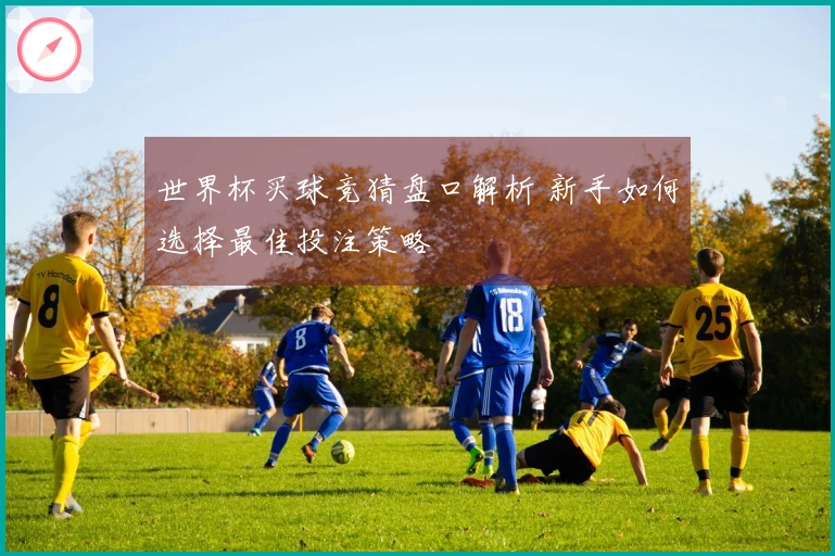 世界杯买球竞猜盘口解析 新手如何选择最佳投注策略
