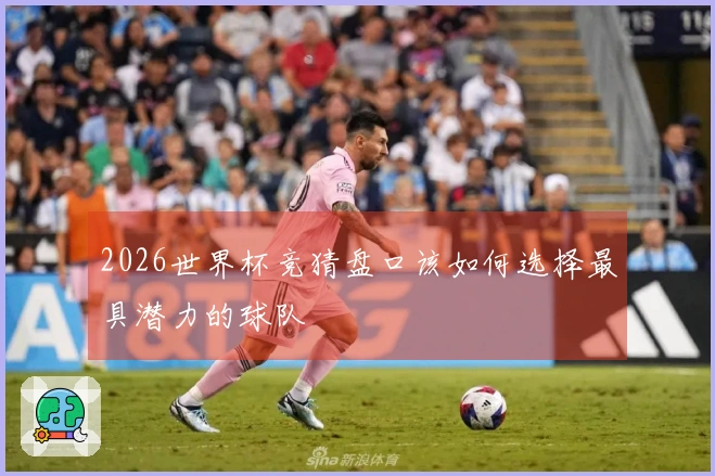 2026世界杯竞猜盘口该如何选择最具潜力的球队